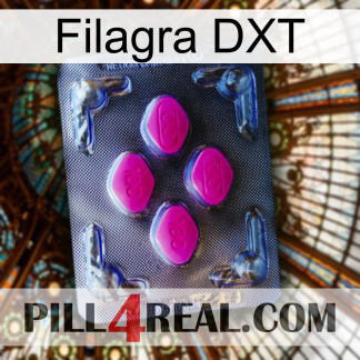 Filagra DXT 02